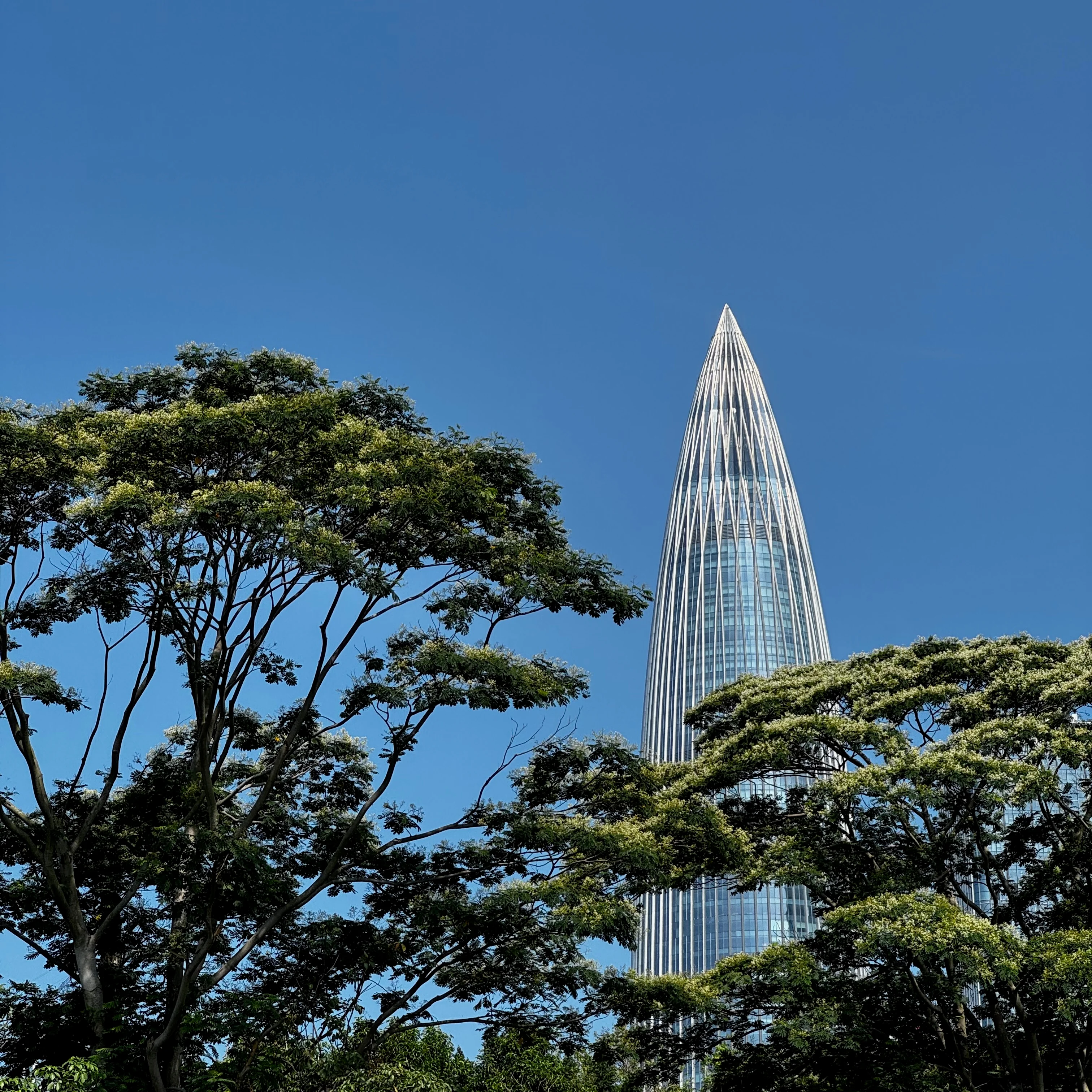 Cover Shenzhen