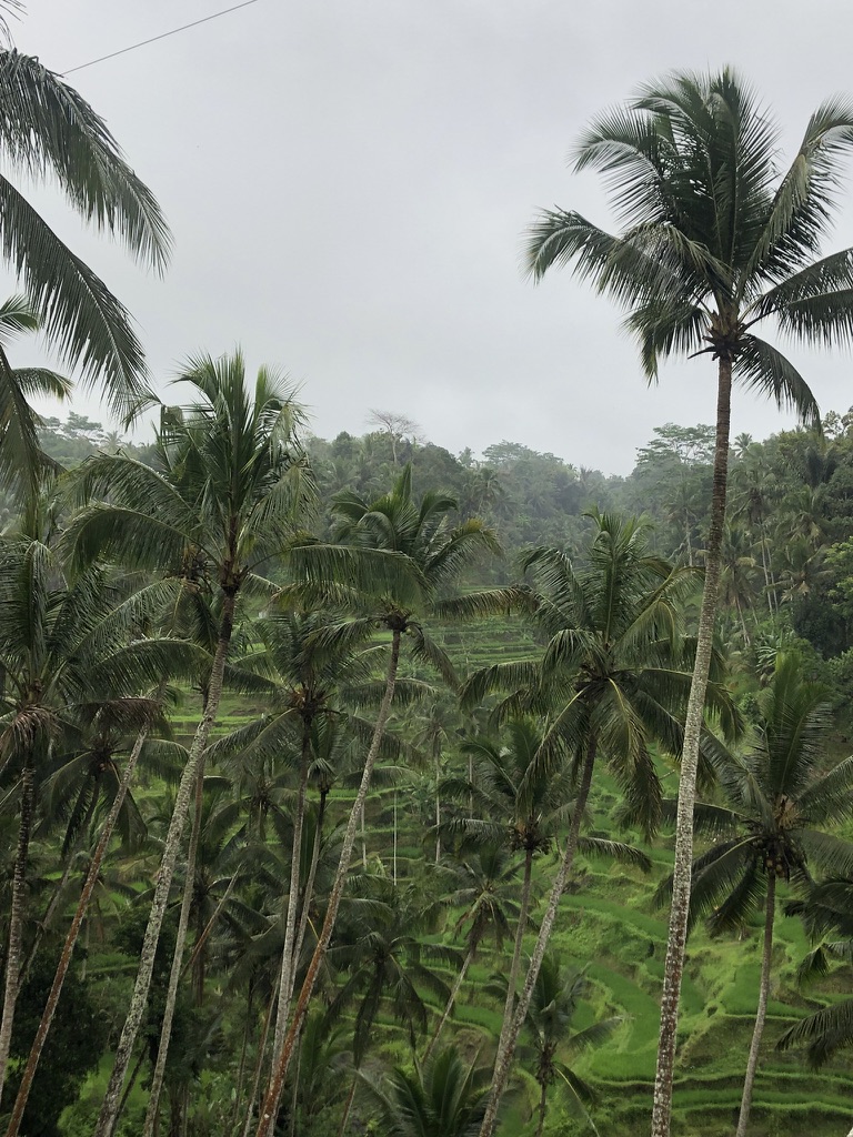 South East Asia 2022